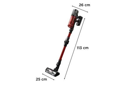 Rowenta X-FORCE FLEX 13.60 MODELE ANIMAL PUISSANT 150 AW ET LÉGER RH9A73WO